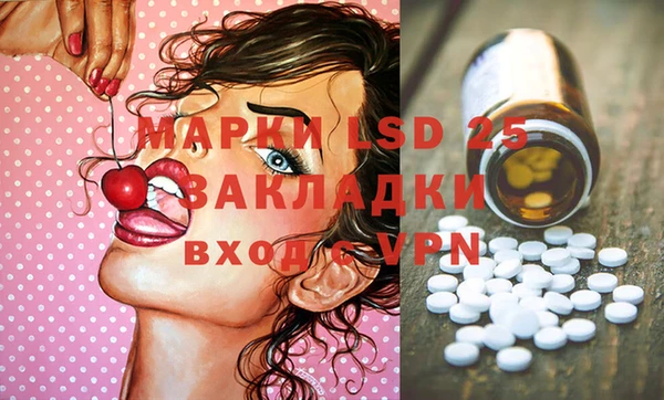 PSILOCYBIN Богданович