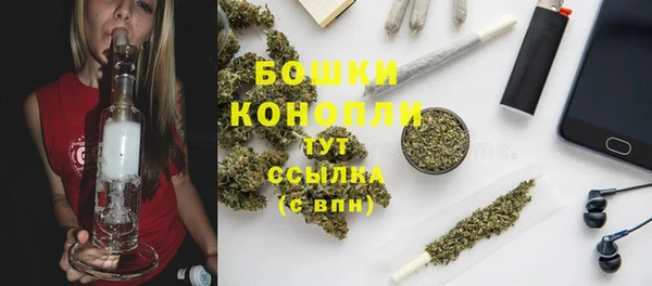 PSILOCYBIN Богданович