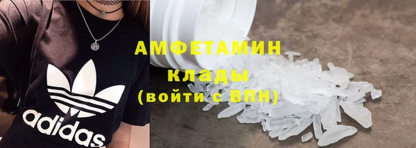 дмт Бородино