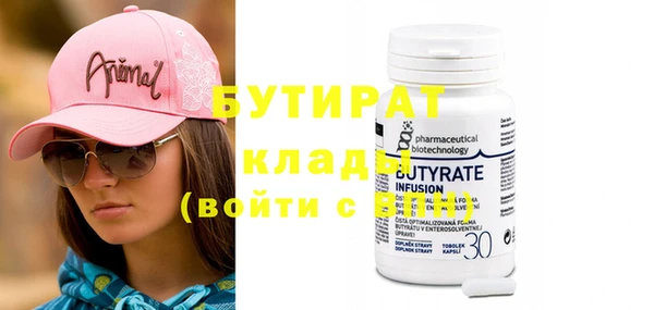 дмт Бородино