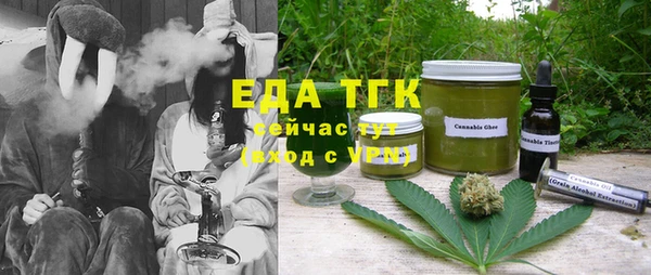дмт Бородино