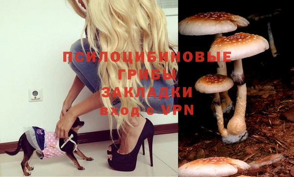 PSILOCYBIN Богданович