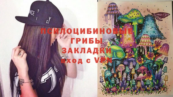 дмт Бородино