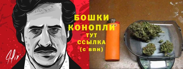 PSILOCYBIN Богданович